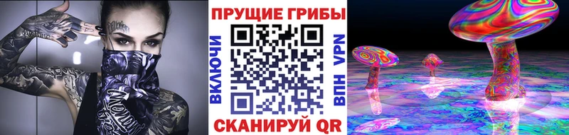 Галлюциногенные грибы Psilocybine cubensis  Междуреченск 