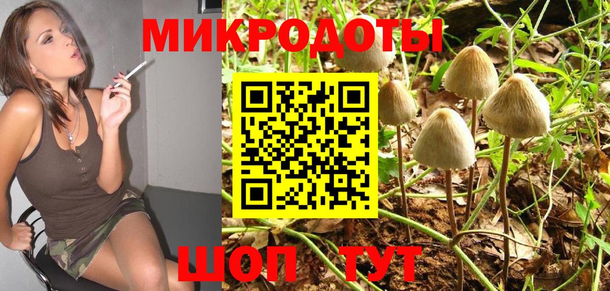 Галлюциногенные грибы мухоморы Междуреченск