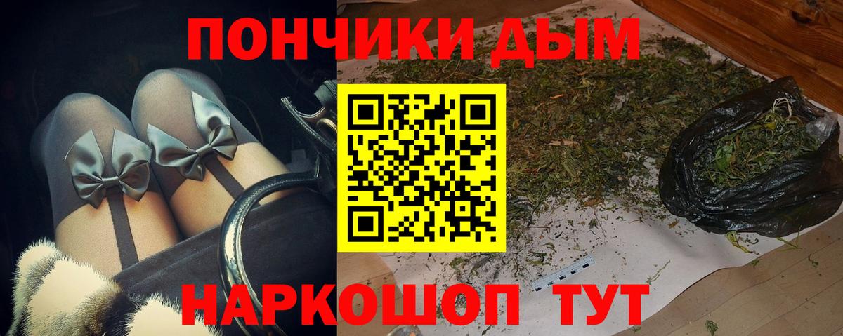Бошки марихуана гибрид  Вход с VPN  Марихуана AK-47  Конопля сатива  Междуреченск 